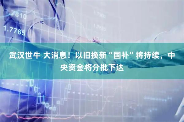 武汉世牛 大消息！以旧换新“国补”将持续，中央资金将分批下达