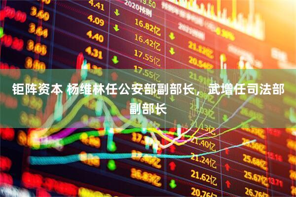 钜阵资本 杨维林任公安部副部长，武增任司法部副部长