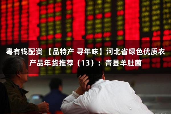 粤有钱配资 【品特产 寻年味】河北省绿色优质农产品年货推荐（13）：青县羊肚菌