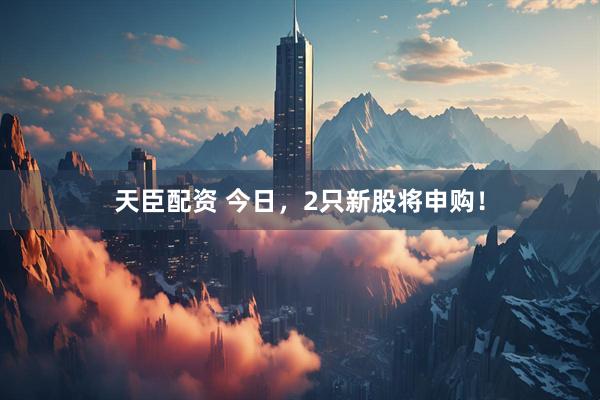 天臣配资 今日，2只新股将申购！